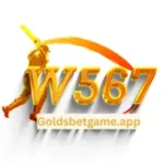 W567 Game