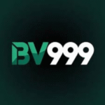 BV99 Game