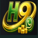 H9 Game